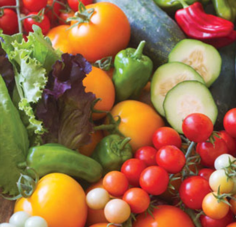 different kinds of vegetable